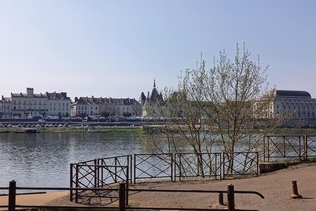 Les Marronniers Appartement Centre Saumur Bord De Loire Екстериор снимка