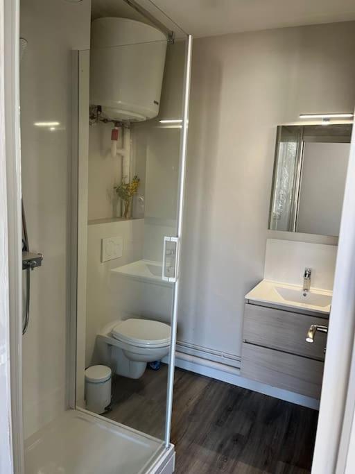 Les Marronniers Appartement Centre Saumur Bord De Loire Екстериор снимка